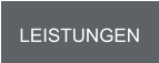 LEISTUNGEN